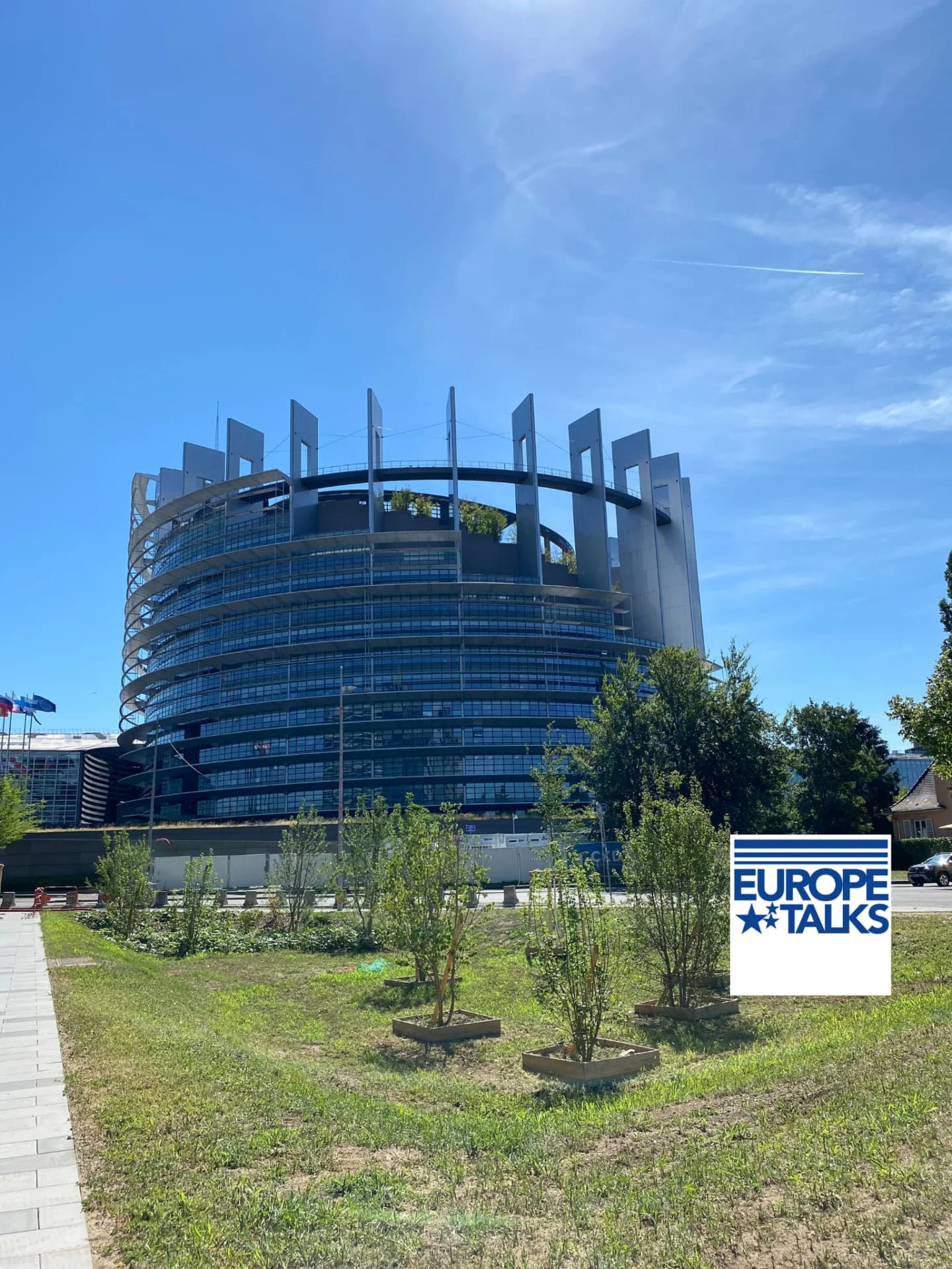 Beer and Roses image 2