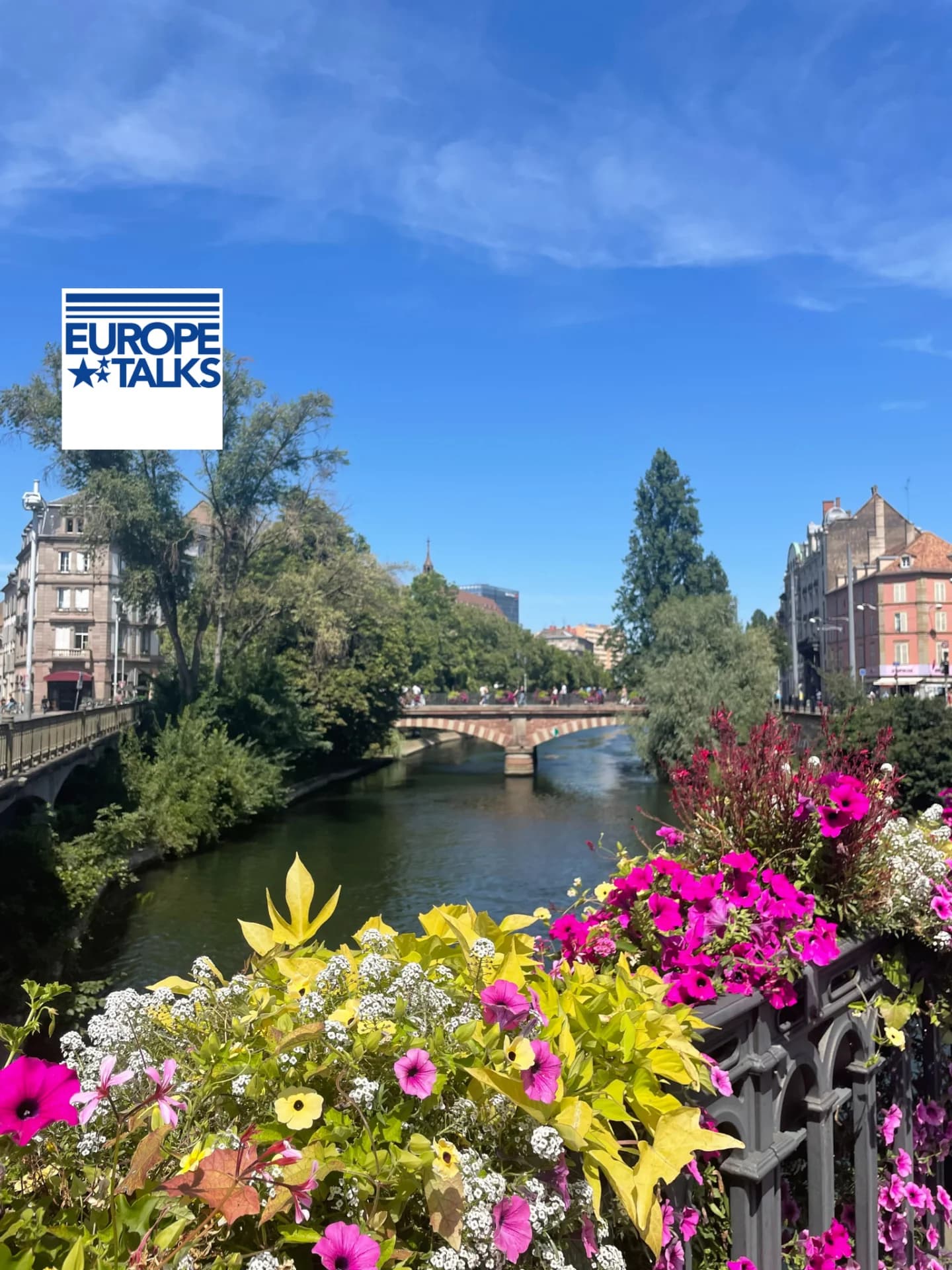 Beer and Roses image 5